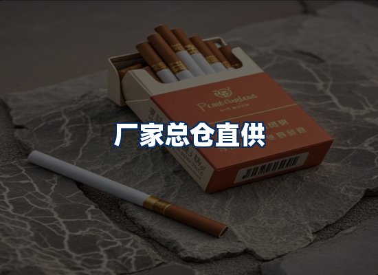 专业团队办公环境